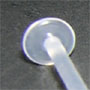 BioFLEX Labret Disc